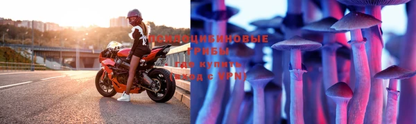 эйфоретик Медногорск