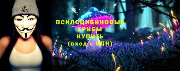 круглые Магас