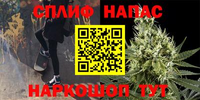прущие грибы Донецк