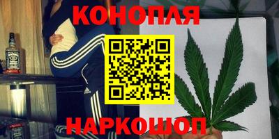 шишки Донской