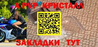 шишки Донской