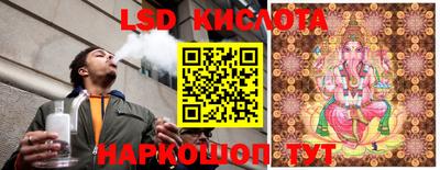 шишки Донской
