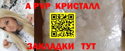 шишки Донской