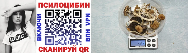Галлюциногенные грибы Cubensis Нижнекамск