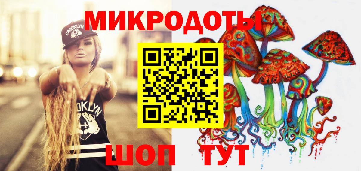 Псилоцибиновые грибы Psilocybine cubensis  Нижнекамск 