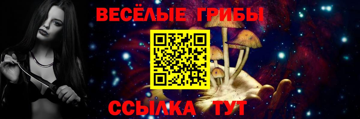 Нижнекамск  Галлюциногенные грибы мухоморы  Псилоцибиновые грибы Magic Shrooms  Вход с VPN 